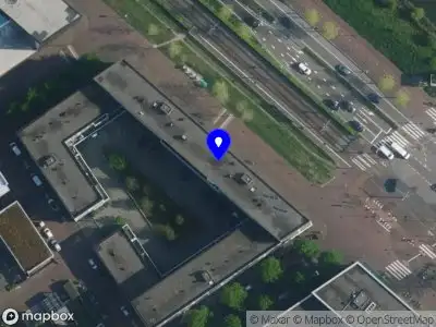 D4Dragon Amsterdam