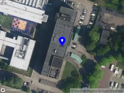 Dorka Morvai Haarlem