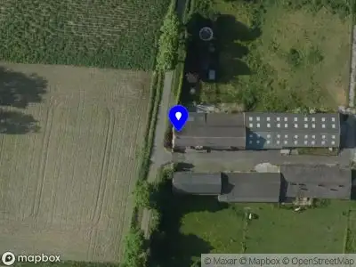 Nieuw bedrijf Blue's Hondentrimsalon