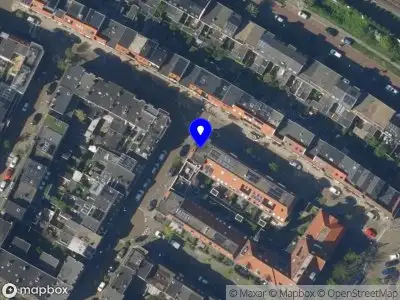 Brenda Petinati Natural Beauty