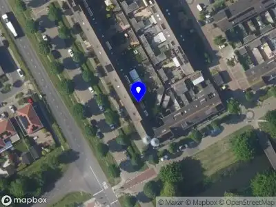 Dedecanoglu Business