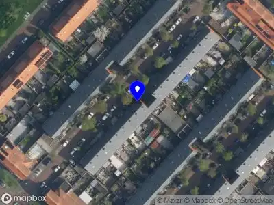 De mier vlechtwerken 's-Gravenhage