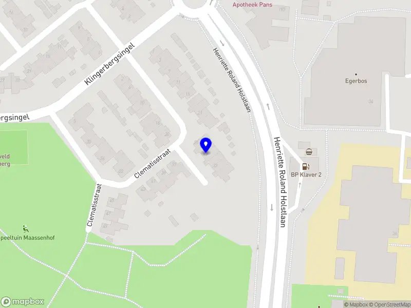 Chosen Elegance Cosmetics