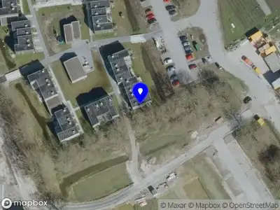 Trust the Process Coaching