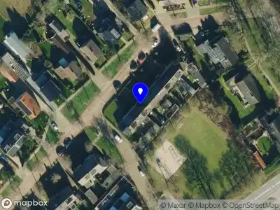 Theater Hond Op De Maan