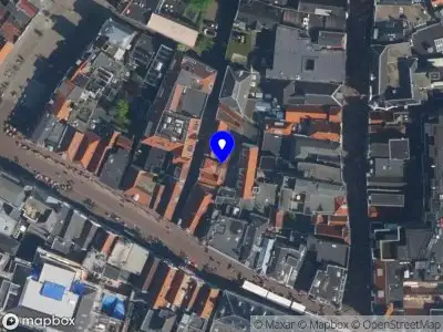 Nieuw bedrijf Disruptive Management