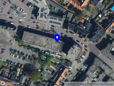 BF Management & Assistent