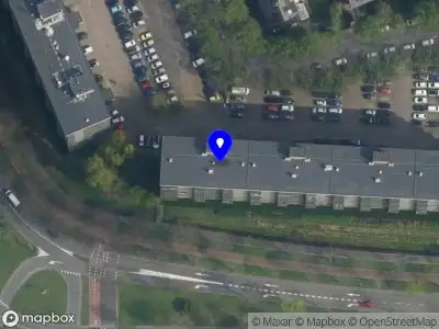 Bunny Photography Rijswijk