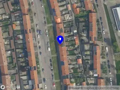 Eva Elisha's Zang Studio