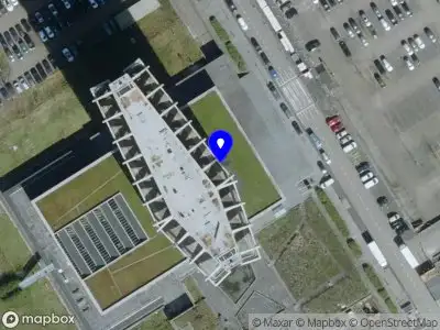 Dana Mirafzal Freelance Services