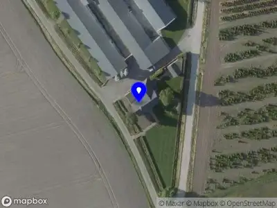 Niels Wijen Timmerwerken