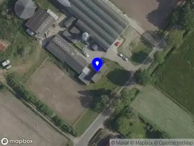 Nieuw bedrijf By Romy design & dressuur