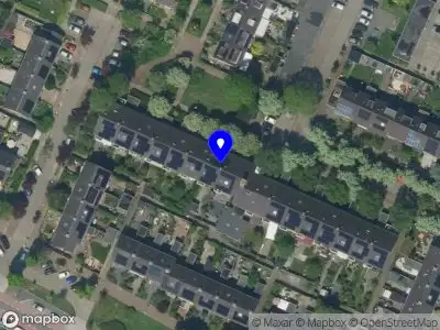 Ecocentric By Nature