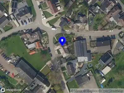 Carlier Business Consulting