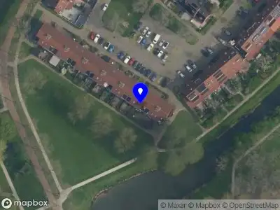 Cosmo Cats Houten