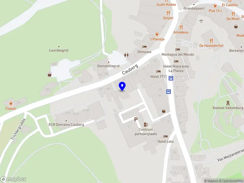 Nieuw bedrijf Shayliekremer