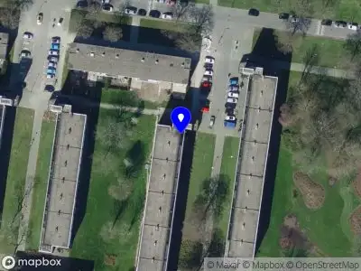 Den Haage Cleaning Services