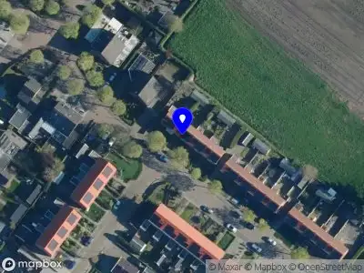 Merlijns Baard Froombosch