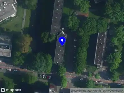 Momo oue Amstelveen
