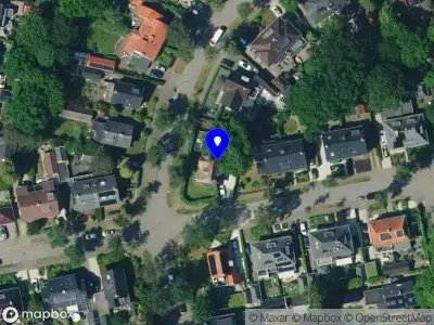 Blaauwlin Apeldoorn