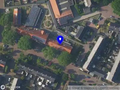 Green & Gold Huizen
