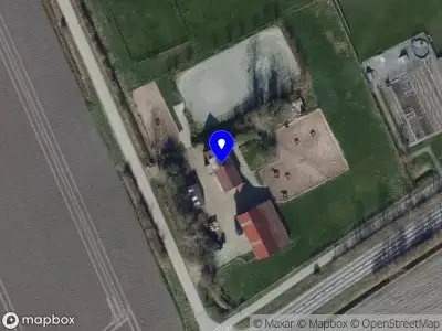 MR Breeding & Dressage