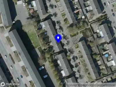 Nieuw bedrijf Urban Birds & Bats adviesbureau