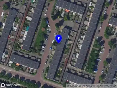 Rosalique Pearl Stolker