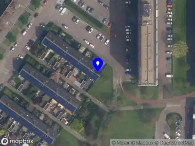 Amentos Hoek van Holland