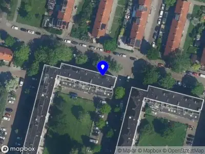 Cactus Amsterdam