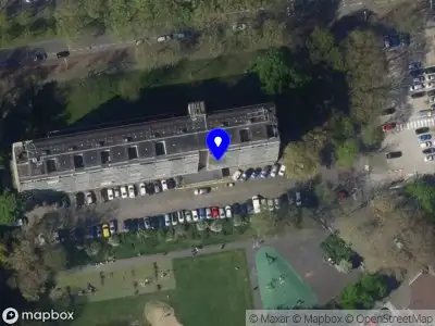 Adelina Erika Marketing Solutions