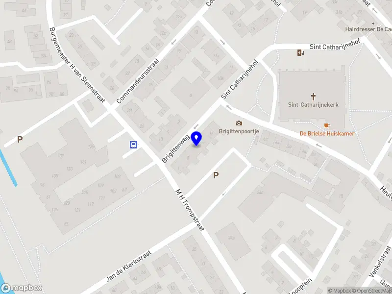 Wild Tulip International