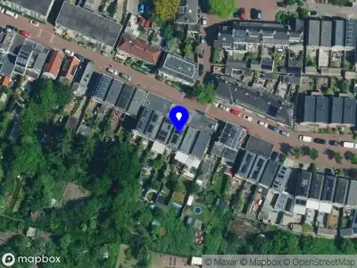 Marloes Oostindie - Wortel & Woord