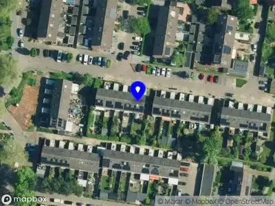 Noah's services en diensten Olst