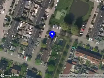 Anilka Zwartjes Watercolor Art