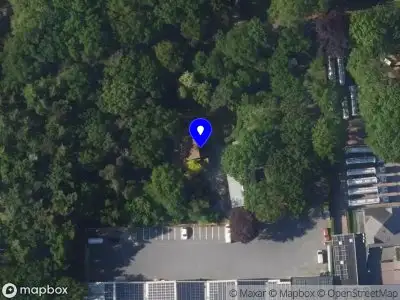 Nieuw bedrijf Dinescu Afbouw