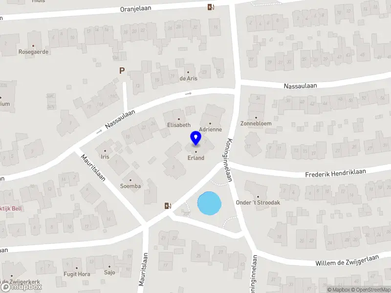 Nieuw bedrijf Ten Mice B.V.