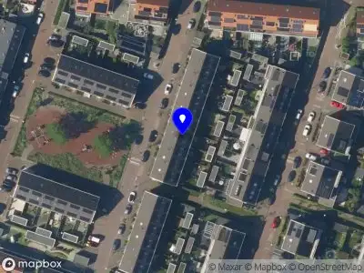 True Sports Improvement