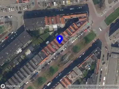 SJW Collective Rotterdam