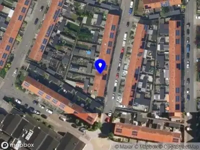 Camel Road Oude Wetering