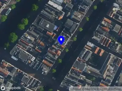 Tarantula 91 Amsterdam