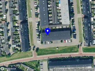 Neurospicy Knick Knacks