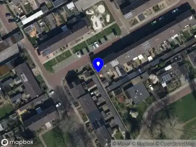 Rodenboog International Marketing