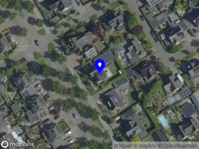 Brassica rapa Participaties B.V.