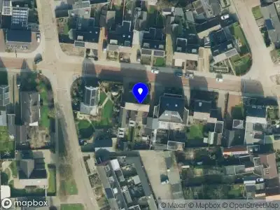 Nieuw bedrijf Levenis Coaching en Advies