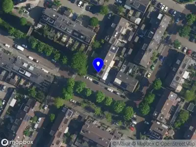 Sierteelt Hulpverlening Verschoor Hillegom