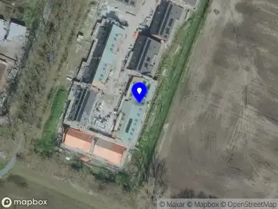 Brows and Beyond by Liliya