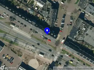 Bonswa Arnhem