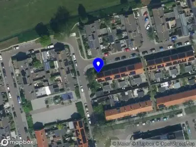 D.R. Green Arboriculture Westzaan