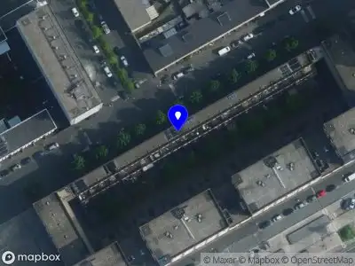 De hasan organization Amsterdam